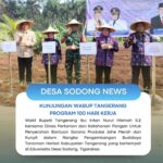 Wakil Bupati Tangerang ibu Intan Nurul Hikmah S.E bersama Dinas Pertanian dan Ketahanan Pangan Untuk Penyerahan Bantuan Sarana Produksi Jahe Merah dan Kunyit dalam Rangka Pengembangan Budidaya Tanaman Herbal Kabupaten Tangerang yang bertempat di Eduwisata Desa Sodong, Tigaraksa.